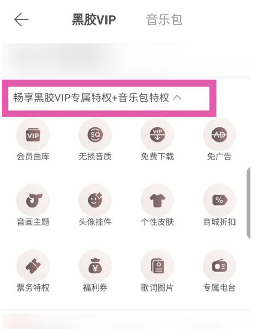 网易云音乐包和黑胶vip有什么区别