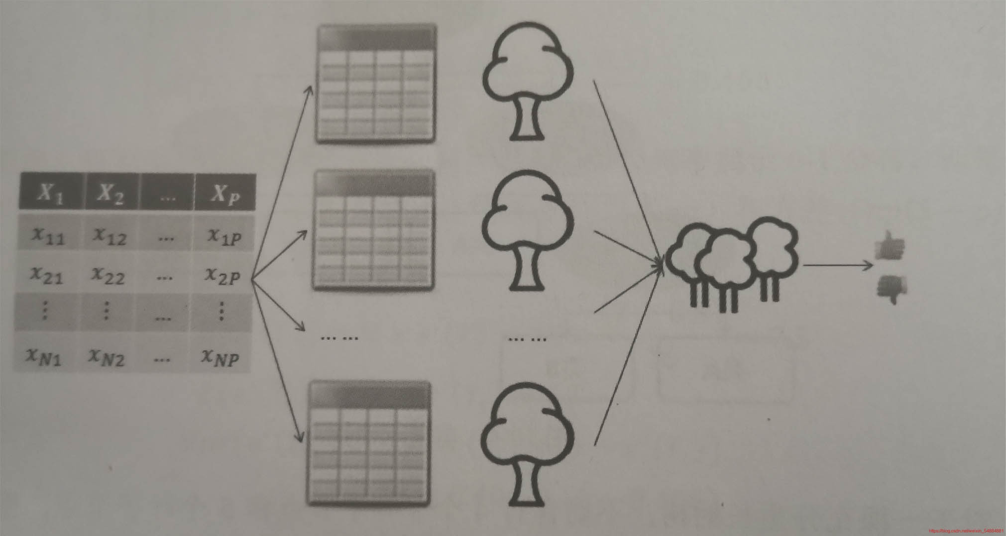 Python机器学习之决策树和随机森林