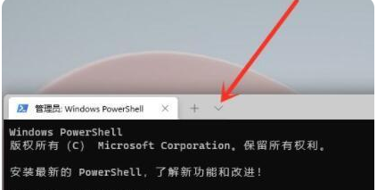 Win11命令提示符怎么打开 Win11命令提示符打开方法