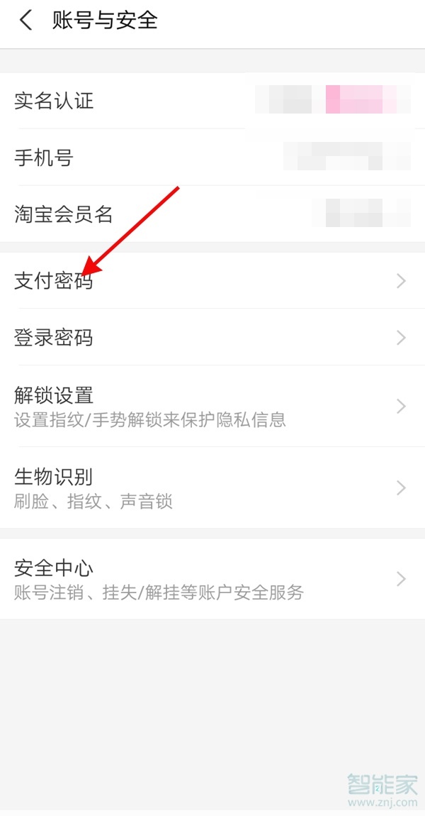 支付宝密码忘记怎么重新设置