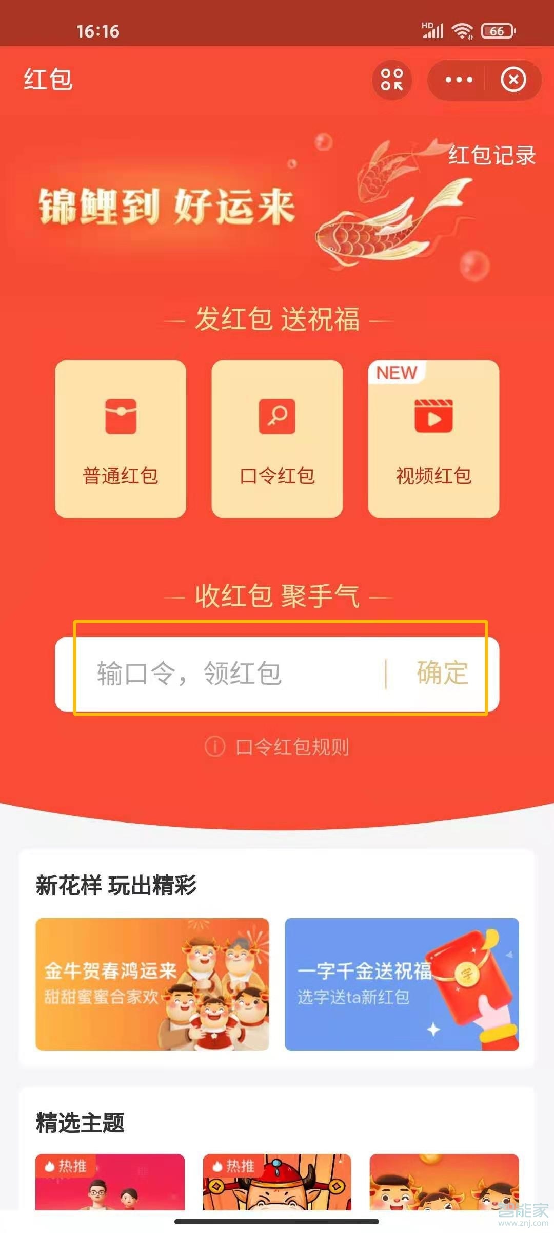 支付宝怎么抢口令红包