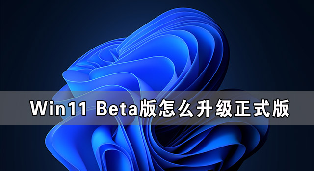 Win11 Beta版怎么升级正式版 Win11 Beta版转正式版的方法