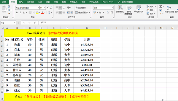 Excel 2019中使用条件格式分析数据的7类方法教学