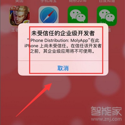 苹果12pro max可以微信分身吗