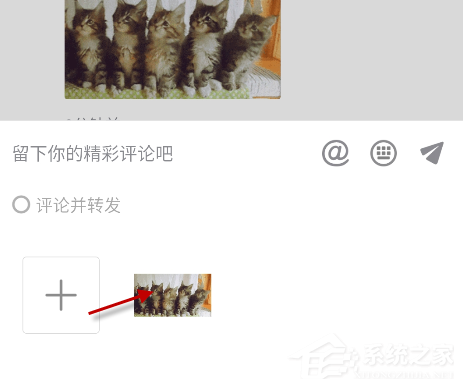 抖音猫咪摇头蹦迪表情包怎么发？抖音5只猫点头表情包下载