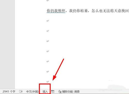 WPS文档编辑时吞字怎么办？