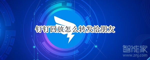 钉钉回放怎么转发给朋友