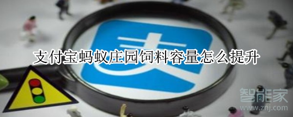 支付宝荣耀点怎么获得