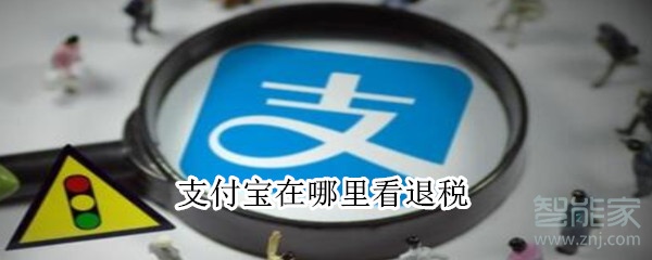 支付宝在哪里看退税