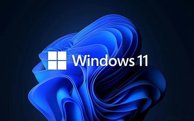 Win11装什么版本好 Win11镜像选什么版本