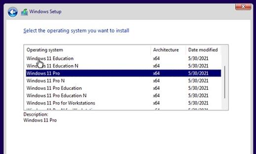 Win11安装版本选择哪个好 怎么选择Win11安装版本