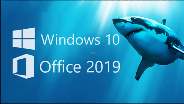 Windows11 Office2019等激活密钥分享 Windows11 Office2019激活密钥大全