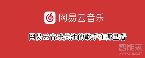 网易云音乐关注的歌手在哪里看