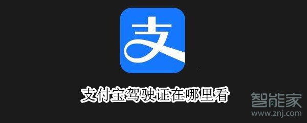 支付宝驾驶证在哪里看