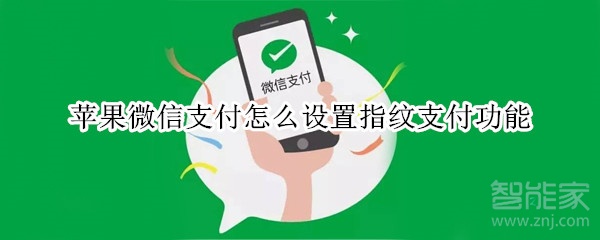 苹果微信支付怎么设置指纹支付功能