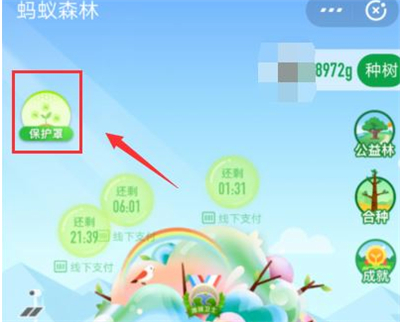 支付宝种树彩色树怎么弄的