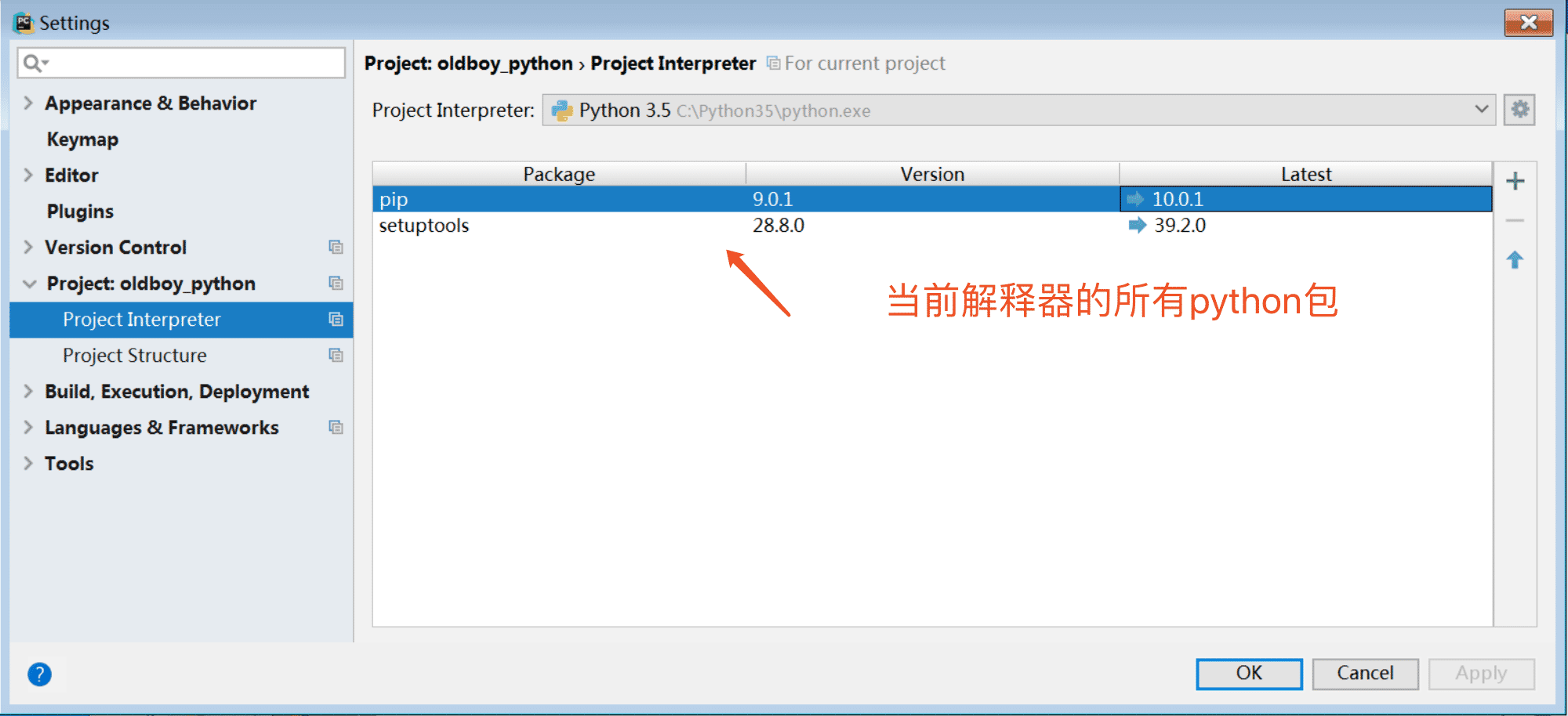 Python本地及虚拟解释器配置过程解析