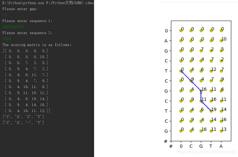 详解基于python的全局与局部序列比对的实现(DNA)