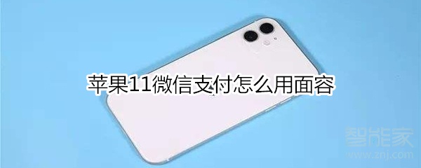 苹果11微信支付怎么用面容