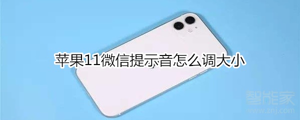 苹果11微信提示音怎么调大小