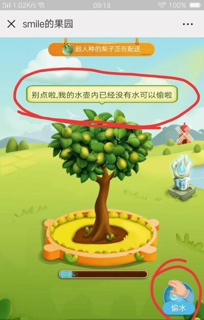 拼多多果园为什么不能偷朋友的水？多多果园种树