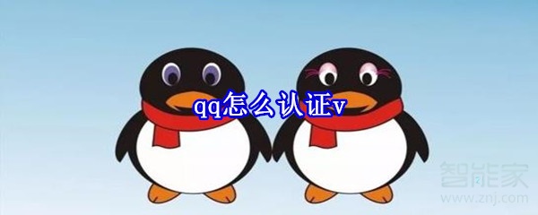 qq怎么认证v