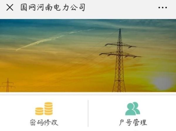 在网上手机微信上怎么查询每月电费用电量河南省