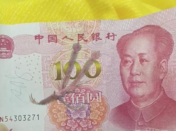 怎么能用QQ看到100元人民币里的吉祥凤凰？