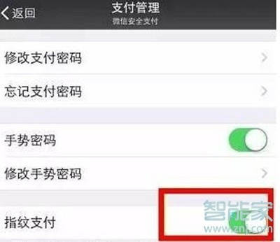 vivoz5微信怎么开启指纹支付