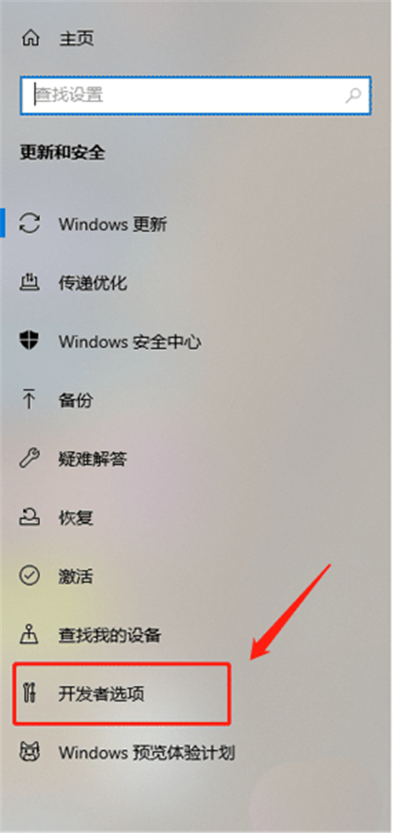 Win10怎么开启开发人员模式？