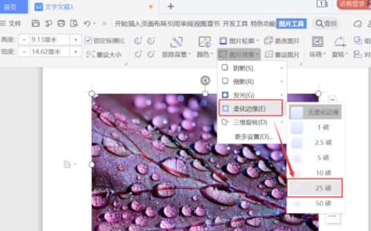 word图片柔化边缘设置教程分享