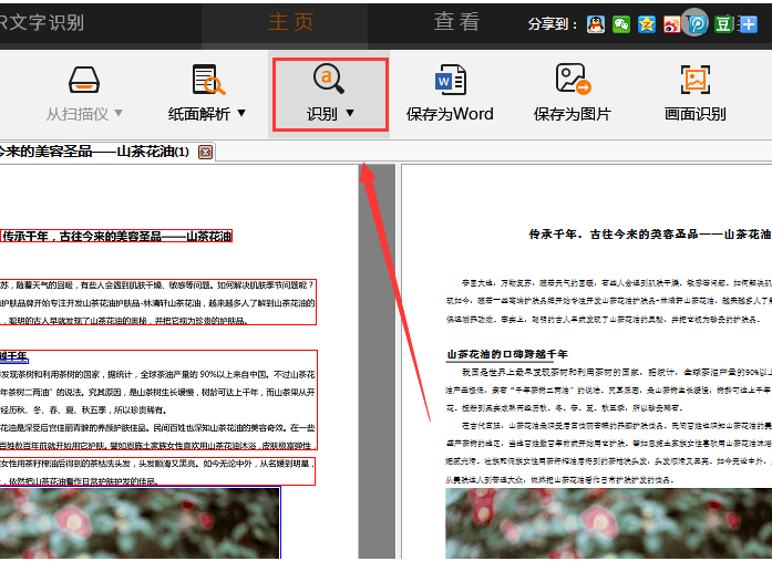 捷速OCR文字识别软件怎么把PDF图片转为Word文字？PDF图片转为Word文字步骤一览