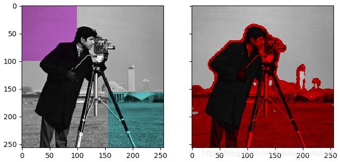 python库skimage给灰度图像染色的方法示例