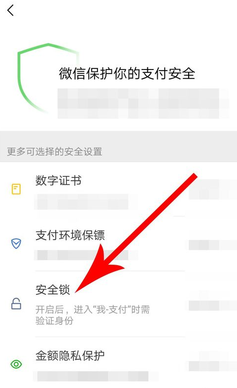 微信APP怎么设置支付安全锁？设置支付安全锁方法讲解