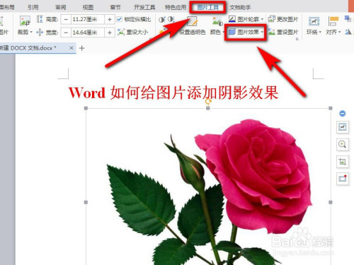 怎么给Word图片加阴影