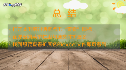 电脑上如何看excel的扩展名