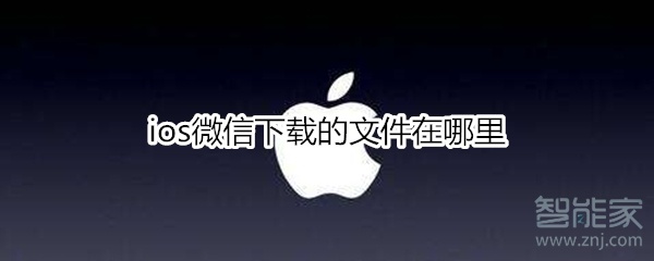 ios微信下载的文件在什么地方