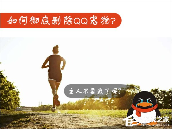 Win7如何卸载QQ宠物？关闭QQ宠物自动登录的方法