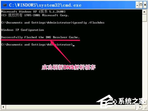 WinXP无法清除DNS缓存怎么解决？