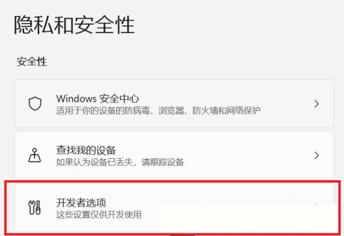 Win11怎么开启开发者选项？Win11打开开发人员选项教程