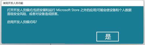 Win11怎么开启开发者选项？Win11打开开发人员选项教程