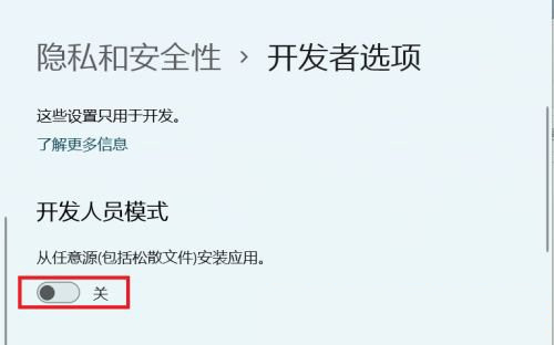 Win11怎么开启开发者选项？Win11打开开发人员选项教程