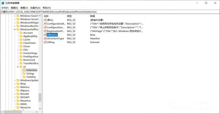 不支持Win11怎么升级？解除限制强制升级Win11