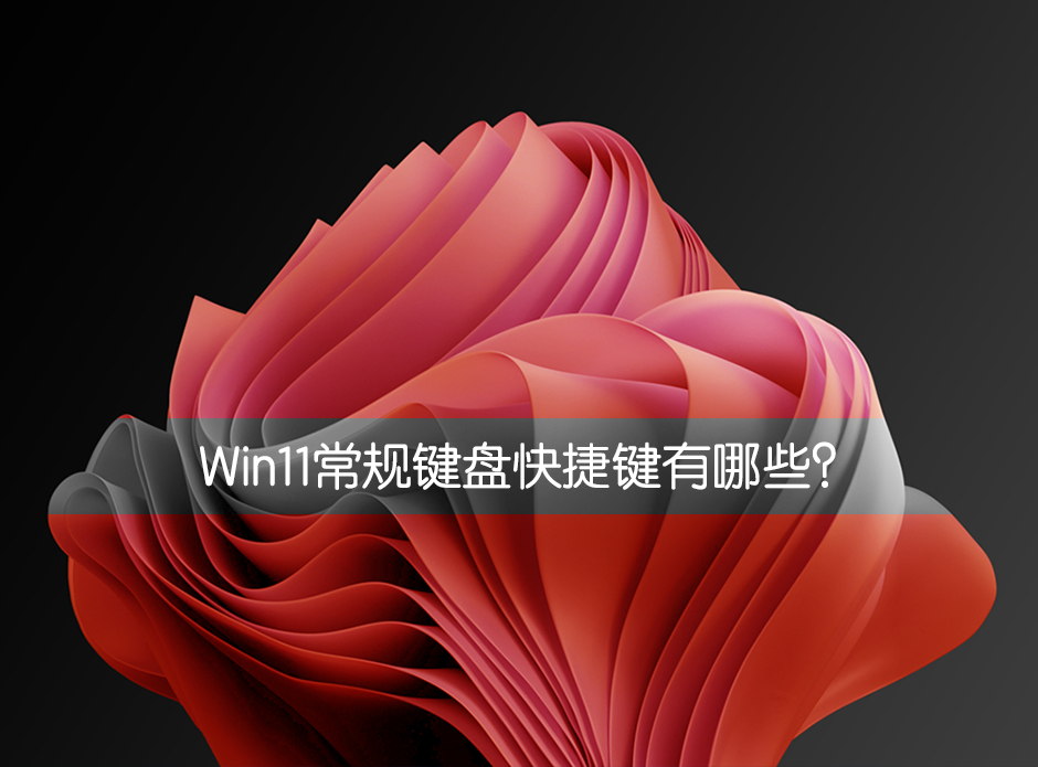 Win11常规键盘快捷键有哪些？Win11常规键盘快捷键介绍