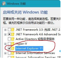 win10浏览器网页图片加载不了怎么办