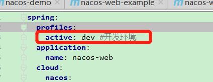 Java springboot 整合 Nacos的实例代码