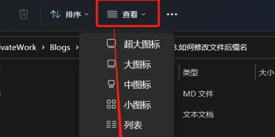 Windows11编辑文件后缀方法介绍