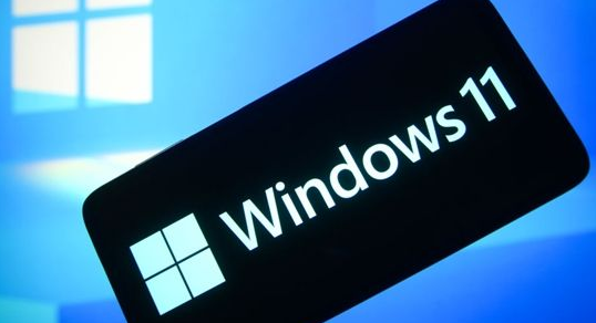 Windows11设置局域网络技巧分享