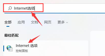 Windows11设置局域网络技巧分享