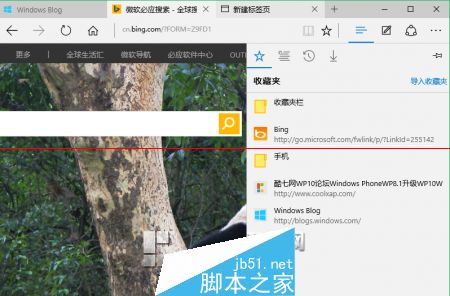 win10正式版Edge浏览器收藏夹在什么位置？收藏夹具体位置说明